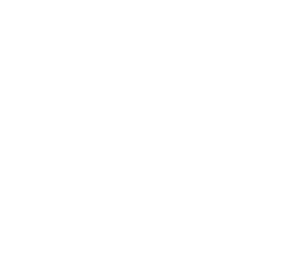 white dock blocks logo