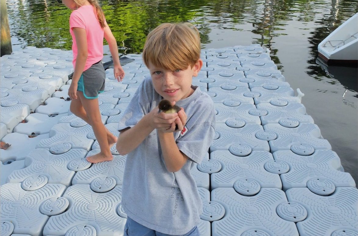 A little boy poses with a baby duck while standing on a floating dock.