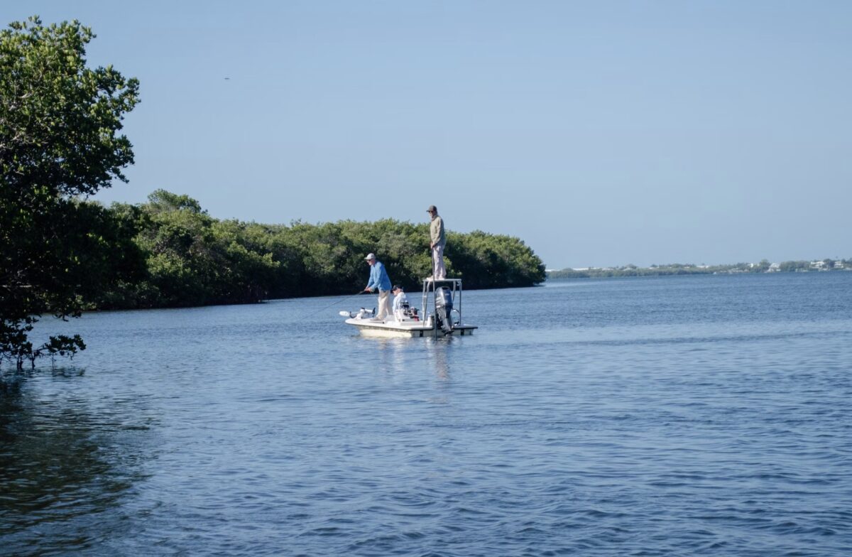 Southwest Florida Dock Blocks News