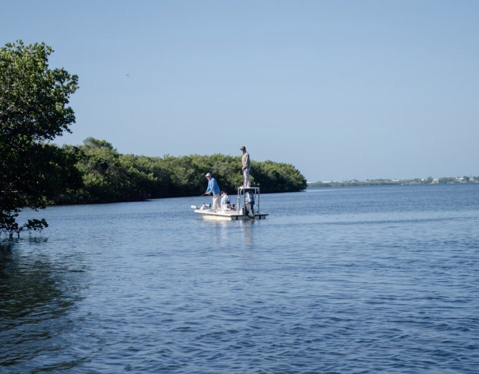 Southwest Florida Dock Blocks News