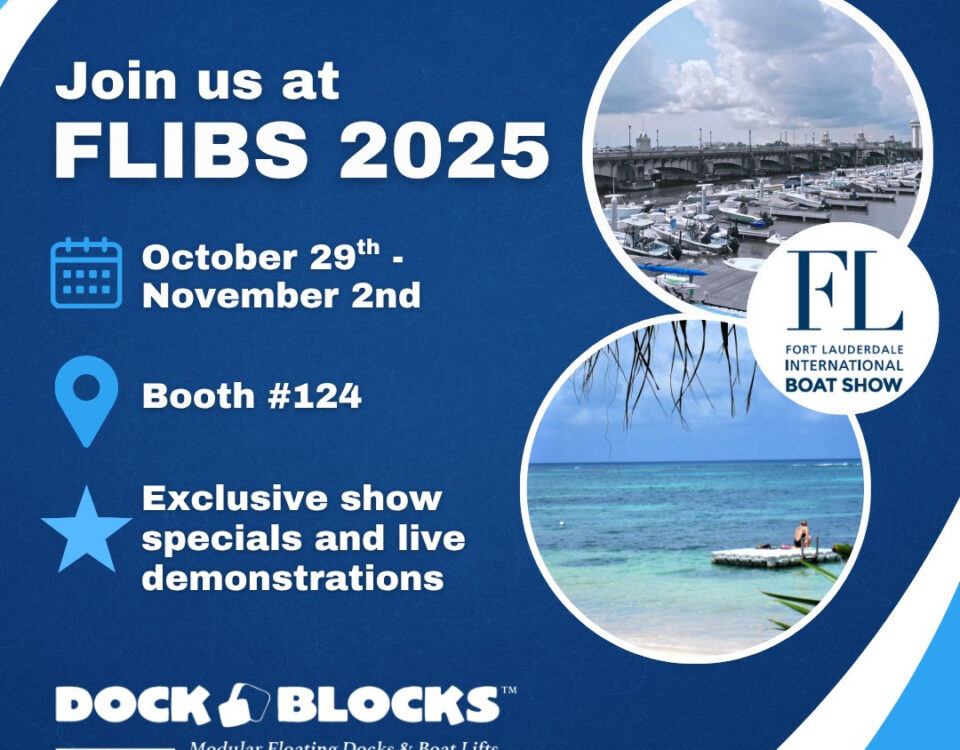 FLIBS 2025