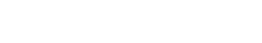 Dock Blocks Brochure logo