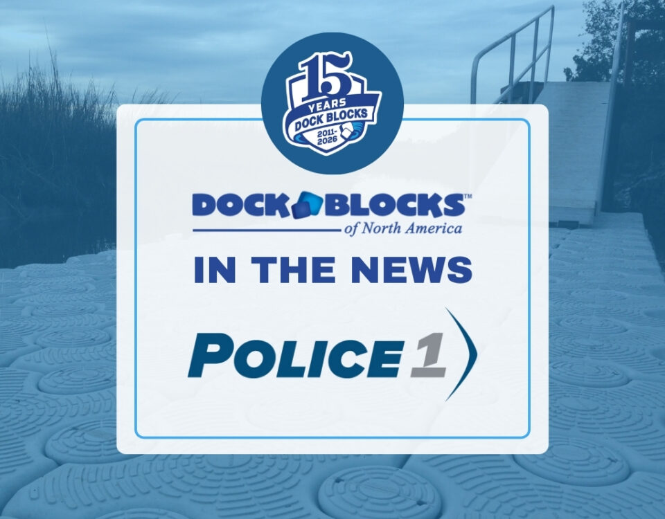 in-the-news